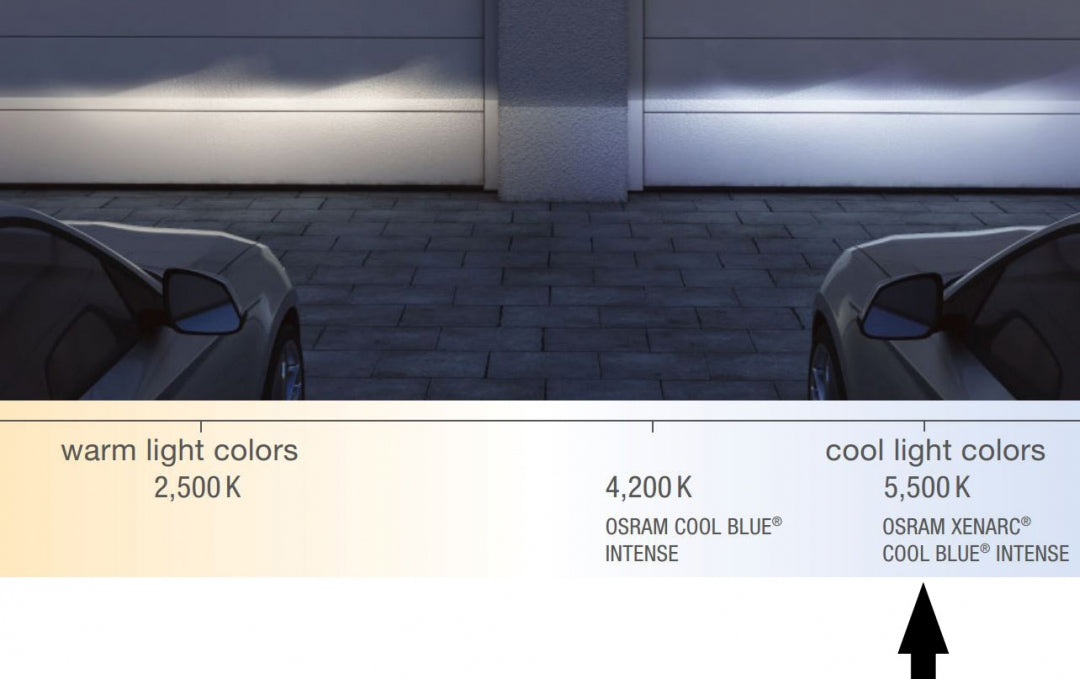 D2S Osram Xenarc Cool Blue Intense - Bilupplysningen